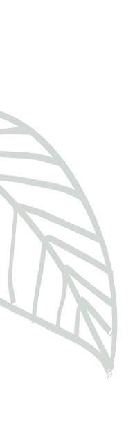 List