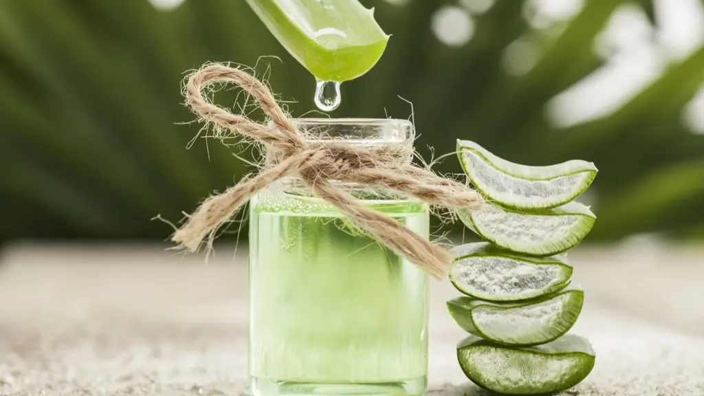 Zakaj uporabiti aloe vera gel na koži?