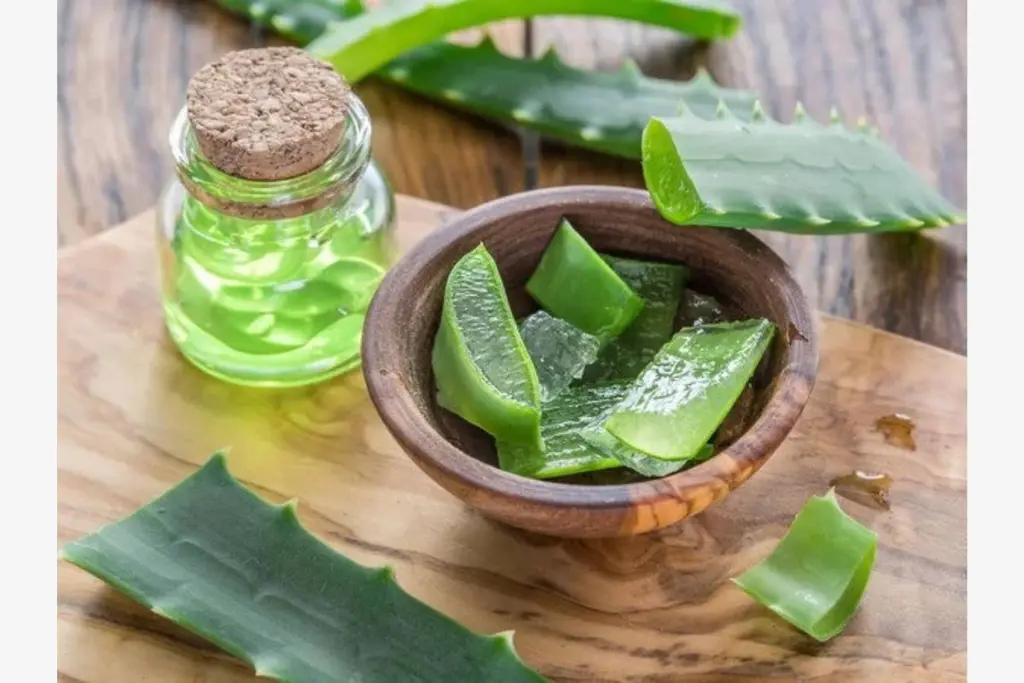 8 prednosti aloe vera gela za kožo poleti