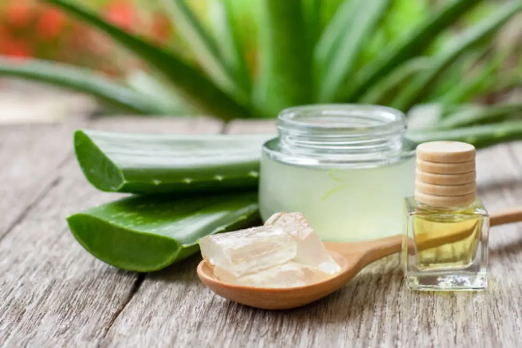 Aloe vera za želodec