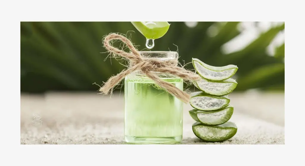 7 razlogov, zakaj uživati aloe vera sok?